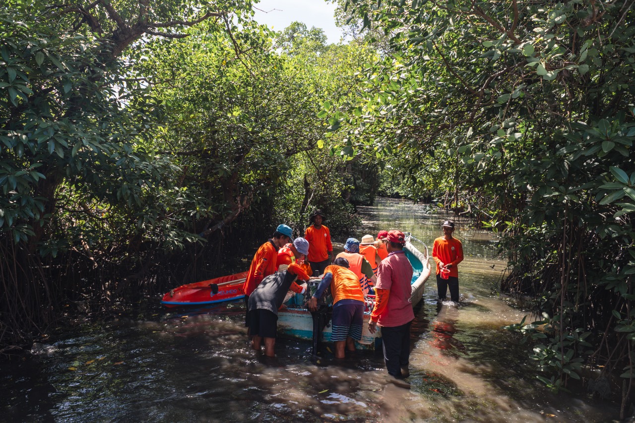 Hutan mangrove yang luas dengan akar-akar pohon menjulang di atas air dan kanopi hijau lebat