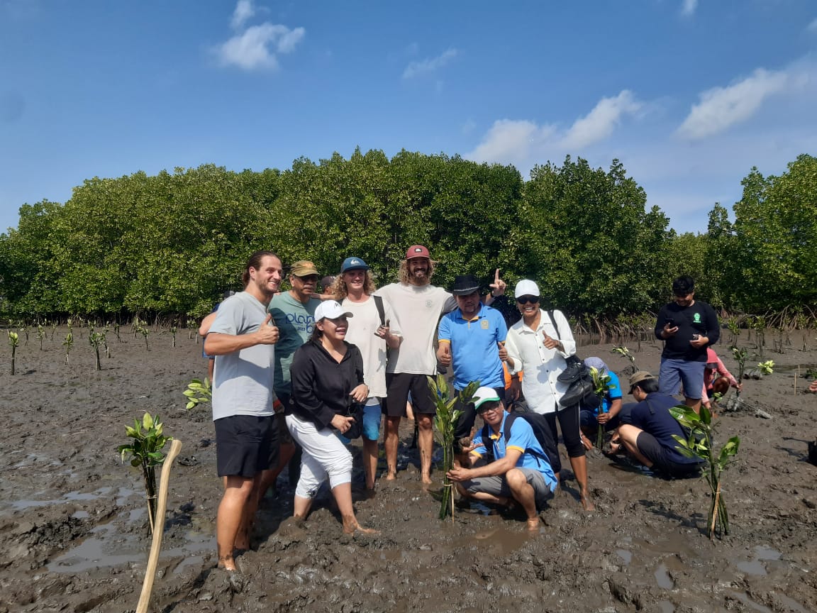 Kegiatan penanaman mangrove oleh relawan di area pesisir